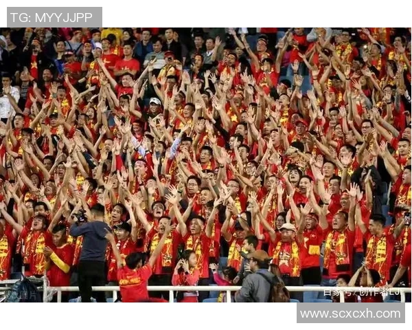 德甲足球巨星崛起之路：从青训到世界舞台的辉煌历程