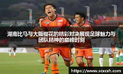 湖南比马与大阪樱花的精彩对决展现足球魅力与团队精神的巅峰时刻
